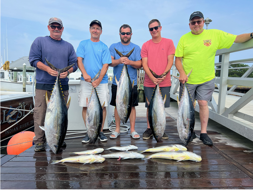 Indian River Marina - State of Delaware - Fishing Reports and