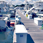 Indian River Marina